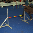 PB284755.JPG
