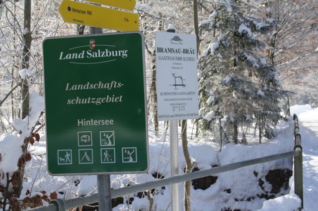 normal_30012011spazierganghinterseefdaktivnews_01.jpg