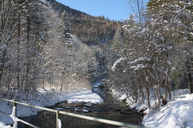 normal_30012011spazierganghinterseefdaktivnews_03.jpg