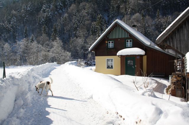 normal_30012011spazierganghinterseefdaktivnews_04.jpg