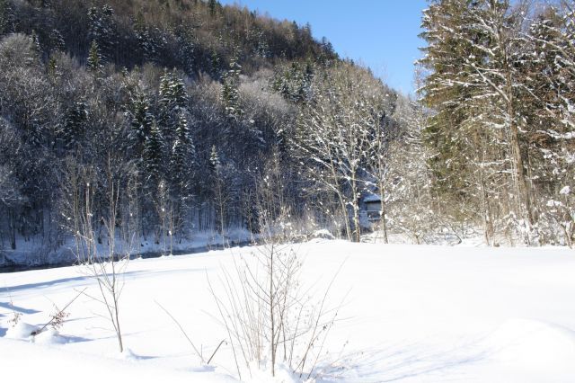 normal_30012011spazierganghinterseefdaktivnews_06.jpg