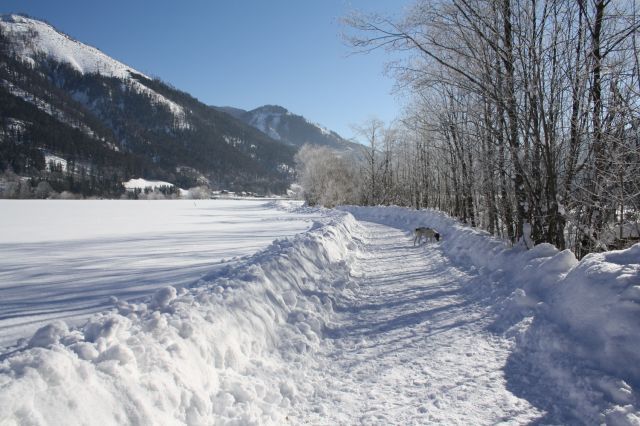 normal_30012011spazierganghinterseefdaktivnews_07.jpg
