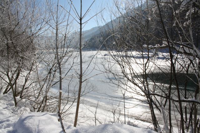 normal_30012011spazierganghinterseefdaktivnews_09.jpg