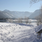 normal_30012011spazierganghinterseefdaktivnews_10.jpg