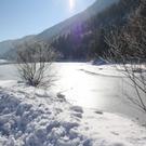 normal_30012011spazierganghinterseefdaktivnews_11.jpg