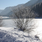 normal_30012011spazierganghinterseefdaktivnews_12.jpg