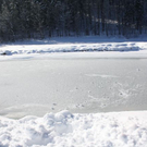 normal_30012011spazierganghinterseefdaktivnews_13.jpg