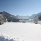 normal_30012011spazierganghinterseefdaktivnews_14.jpg