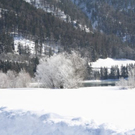 normal_30012011spazierganghinterseefdaktivnews_16.jpg