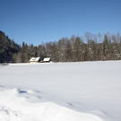 normal_30012011spazierganghinterseefdaktivnews_17.jpg