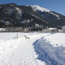 normal_30012011spazierganghinterseefdaktivnews_19.jpg