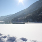 normal_30012011spazierganghinterseefdaktivnews_20.jpg