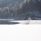 normal_30012011spazierganghinterseefdaktivnews_21.jpg