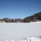 normal_30012011spazierganghinterseefdaktivnews_23.jpg