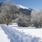 normal_30012011spazierganghinterseefdaktivnews_26.jpg