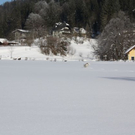 normal_30012011spazierganghinterseefdaktivnews_29.jpg