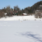 normal_30012011spazierganghinterseefdaktivnews_32.jpg