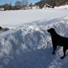 normal_30012011spazierganghinterseefdaktivnews_34.jpg