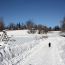 normal_30012011spazierganghinterseefdaktivnews_39.jpg