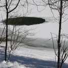 normal_30012011spazierganghinterseefdaktivnews_40.jpg