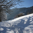 normal_30012011spazierganghinterseefdaktivnews_42.jpg