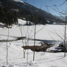 normal_30012011spazierganghinterseefdaktivnews_44.jpg