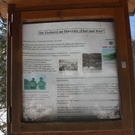 normal_30012011spazierganghinterseefdaktivnews_48.jpg