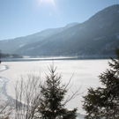normal_30012011spazierganghinterseefdaktivnews_52.jpg