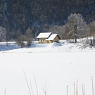 normal_30012011spazierganghinterseefdaktivnews_54.jpg