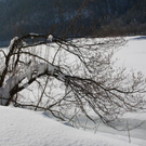 normal_30012011spazierganghinterseefdaktivnews_56.jpg