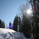 normal_30012011spazierganghinterseefdaktivnews_57.jpg