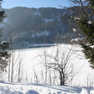 normal_30012011spazierganghinterseefdaktivnews_61.jpg