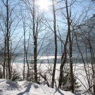 normal_30012011spazierganghinterseefdaktivnews_63.jpg