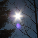 normal_30012011spazierganghinterseefdaktivnews_64.jpg