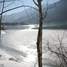normal_30012011spazierganghinterseefdaktivnews_66.jpg