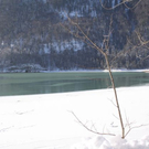 normal_30012011spazierganghinterseefdaktivnews_67.jpg