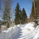 normal_30012011spazierganghinterseefdaktivnews_68.jpg