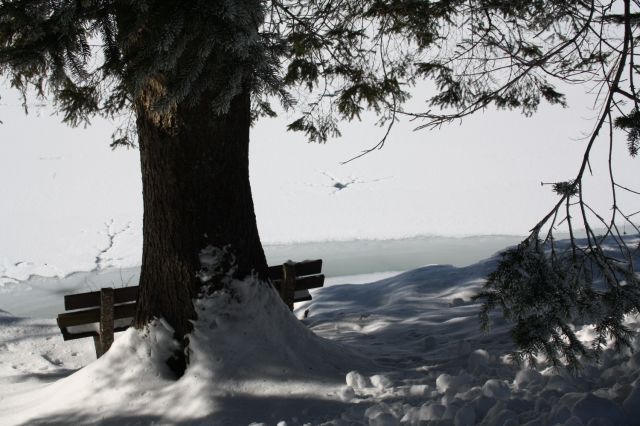 normal_30012011spazierganghinterseefdaktivnews_74.jpg