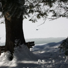 normal_30012011spazierganghinterseefdaktivnews_74.jpg
