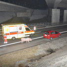 31012011lkwvua94fibaktivnews_19.jpg
