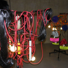 108_8655_jpg-1296596950