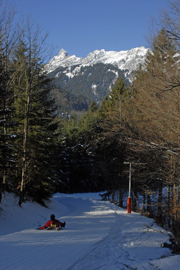 057_bearbeitet-1_jpg-1296601089