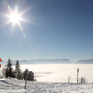 Winter_Feature020211003.jpg