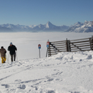Winter_Feature020211008.jpg