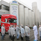 KOE_Vorarblerg Milch 10_jpg-1296651232