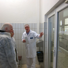 KOE_Vorarblerg Milch 12_jpg-1296651243