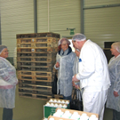 KOE_Vorarblerg Milch 24_jpg-1296651325