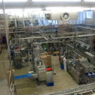 KOE_Vorarblerg Milch 30_jpg-1296651367