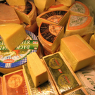KOE_Vorarblerg Milch 44_jpg-1296651458