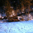 020211lkwvugmaktivnews008.JPG